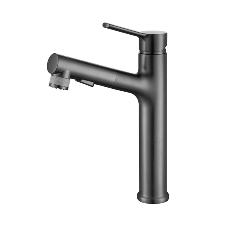 Pull-down Basin Faucets များ